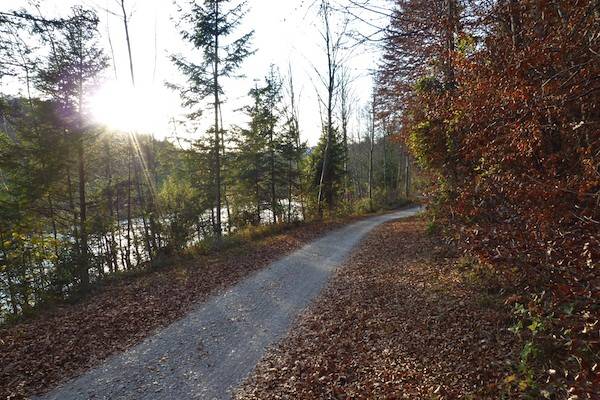 Entlang der Isar Richtung Süden